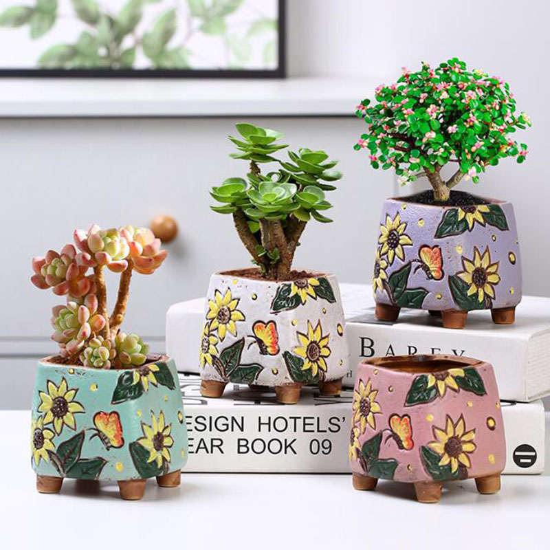 Pot de plantes succulentes à m - Gardening Tools Cute avis et prix