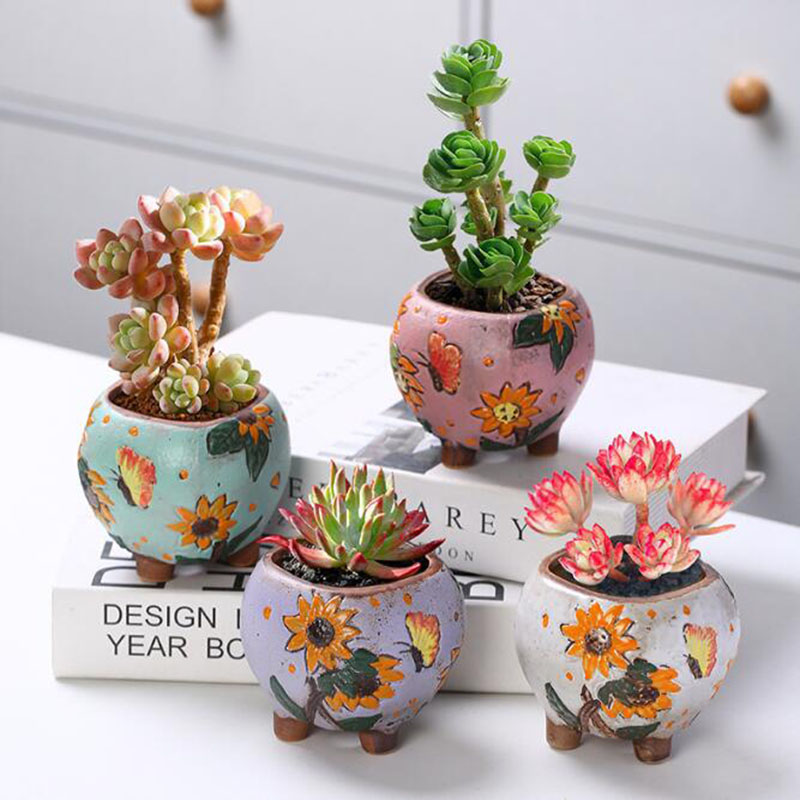 Pot de plantes succulentes à m - Gardening Tools Cute avis et prix