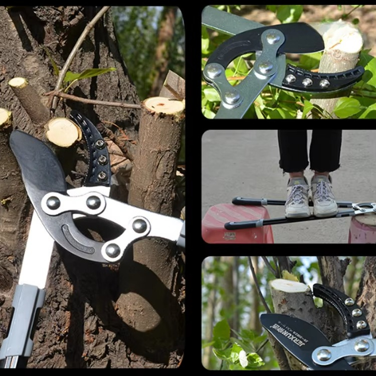 Acier à haute teneur en carbon - Gardening Hand Tools Japanese avis et prix