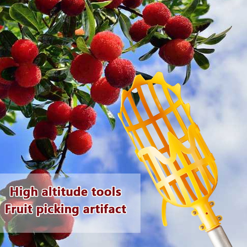 Outil de cueillette de loquat  - Gardening Tools Organizer avis et prix