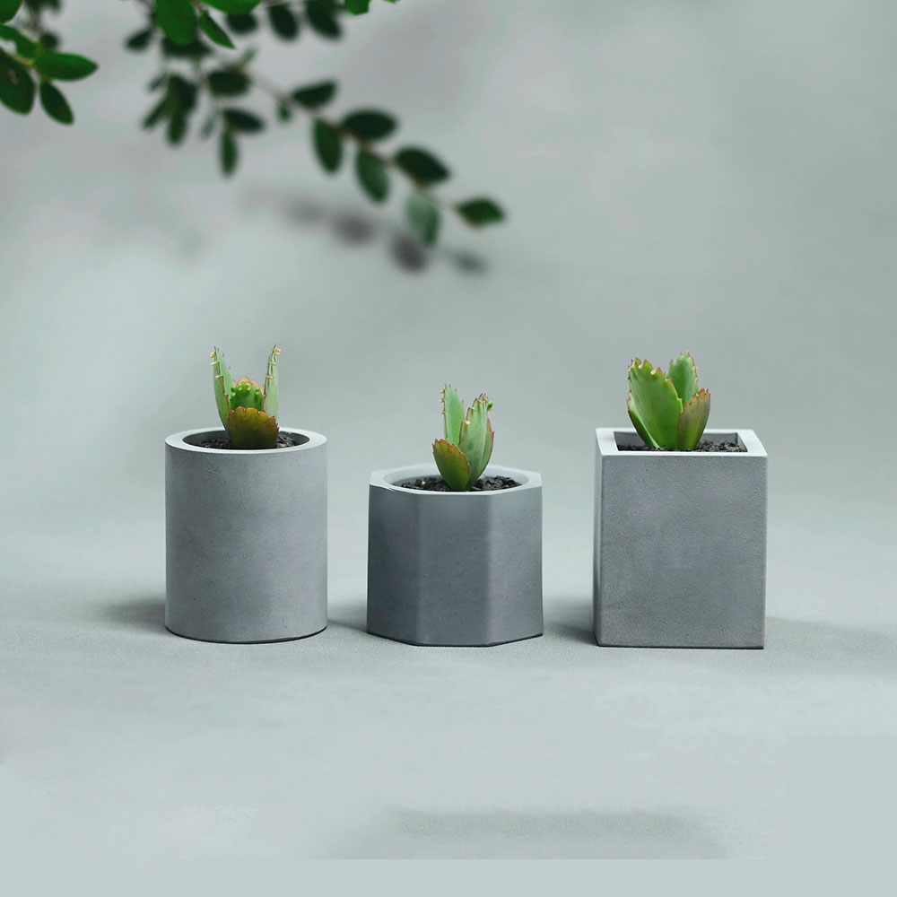 Pot de plante en silicone pour - Gardening Tools Cute avis et prix