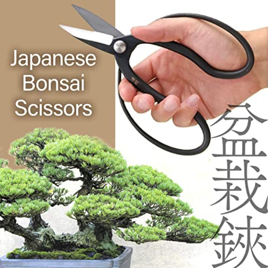 Ciseaux à bonsaï japonais Suir - Gardening Tools Made In Japan avis et prix