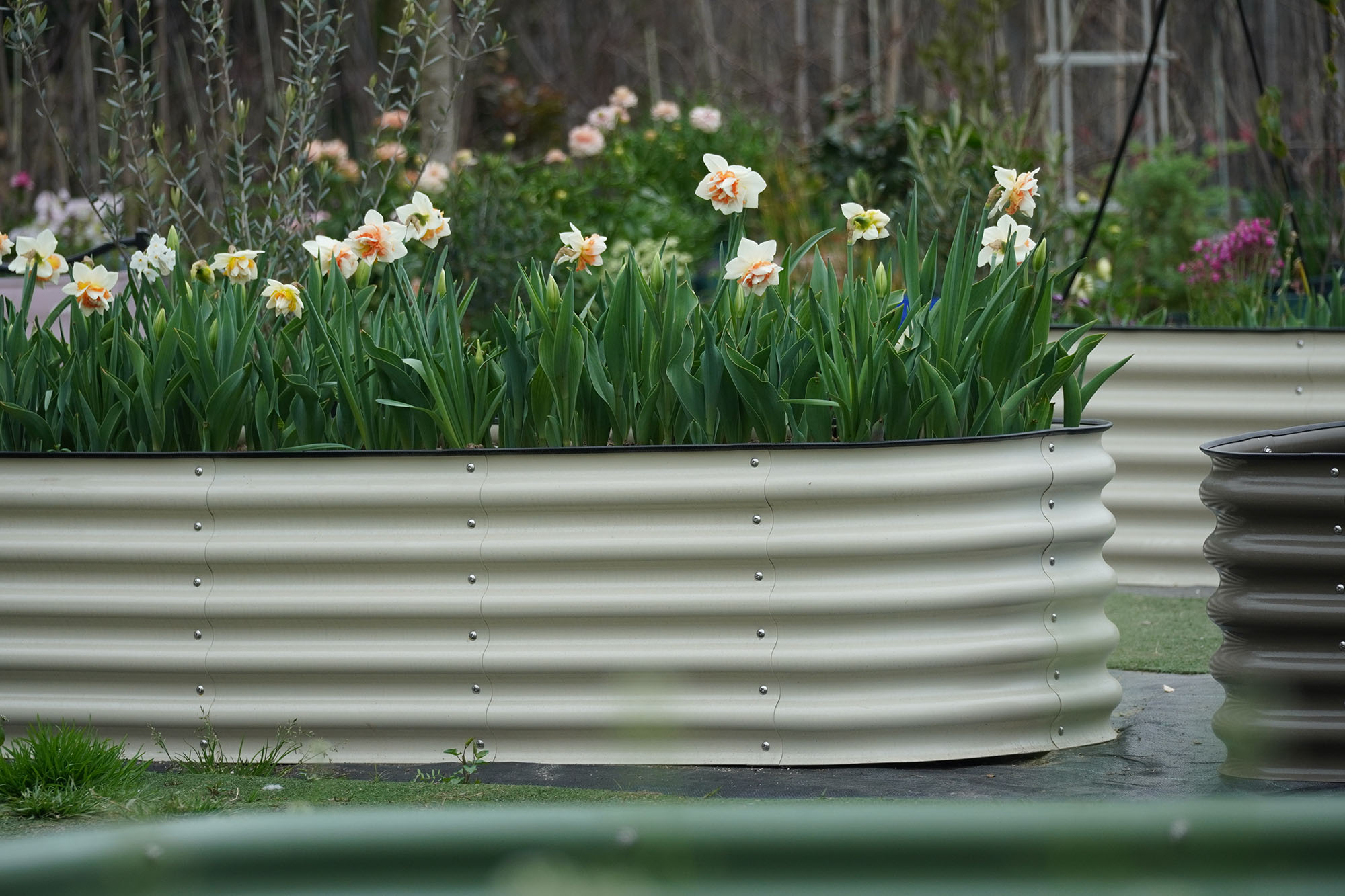 Grand kit de jardinière suréle - Raised Bed Planter Box avis et prix