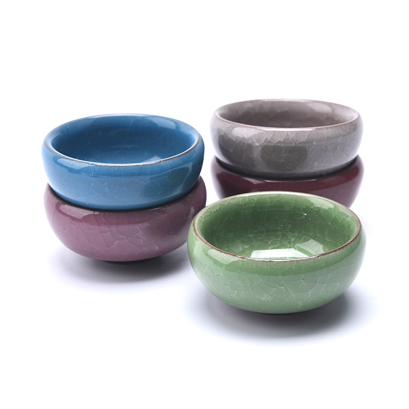 Mini jardinière succulente en  - Gardening Tools Cute avis et prix