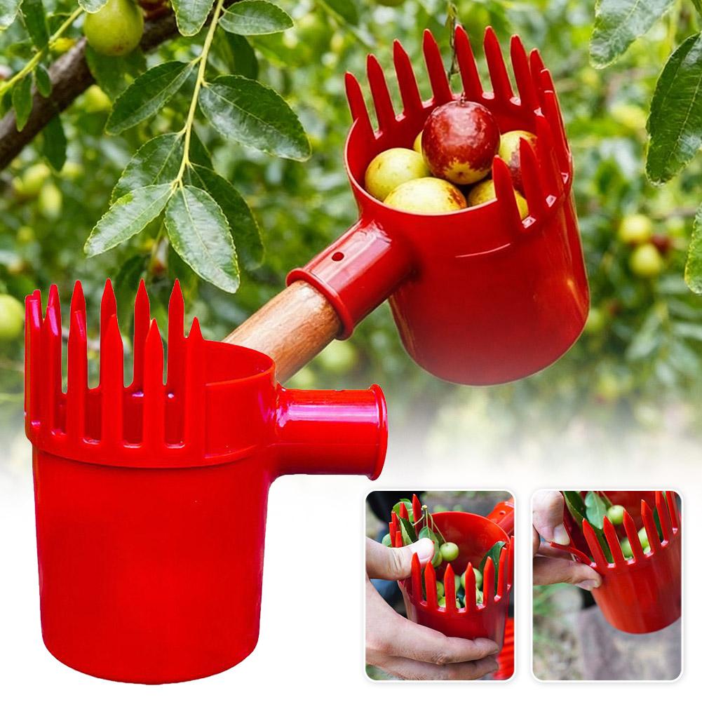 Outil de cueillette de fruits  - Gardening Tools Organizer avis et prix