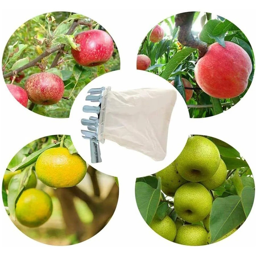 Outil professionnel pour la cu - Gardening Tools Organizer avis et prix